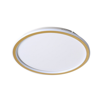 Good quality wholesale 20W /40W/60W white round ceiling light led ceiling light ultra-thin panel light