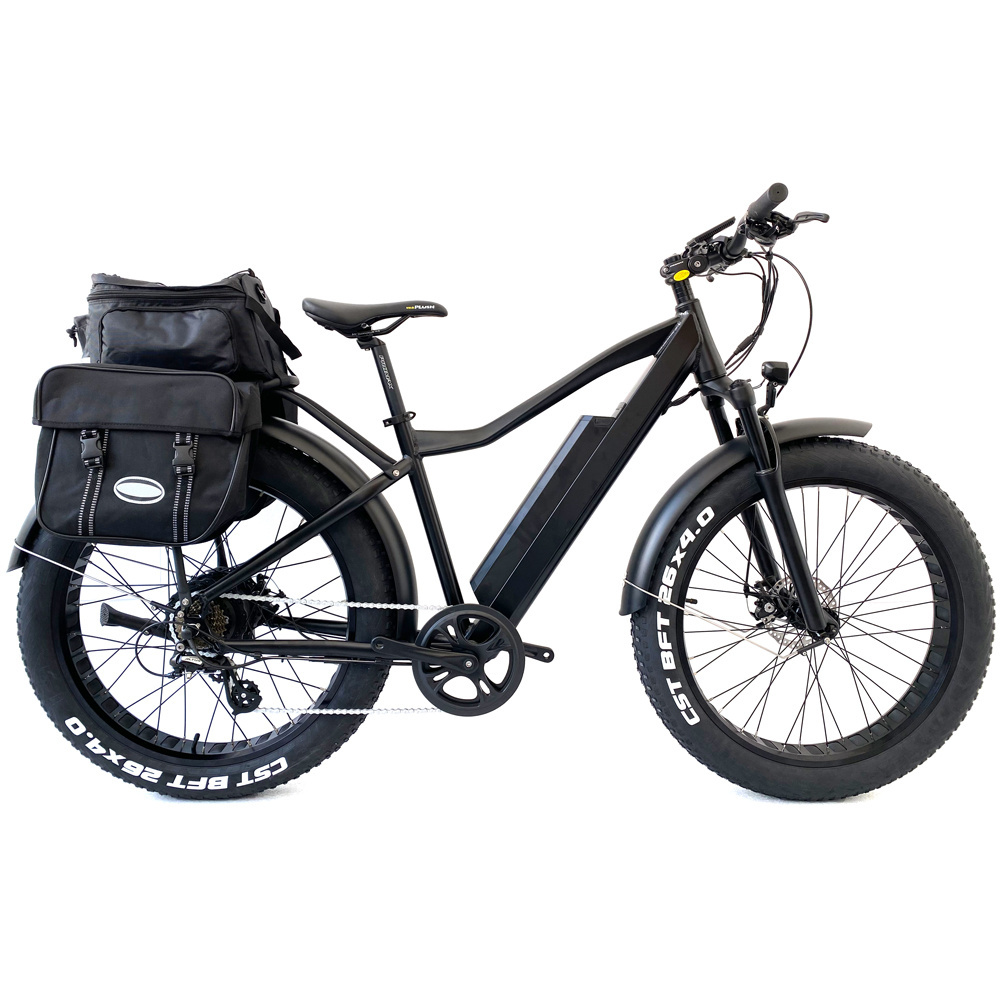 48V 500W 750W 1000W Electric fat bike fat tire ebike electric bicycle electric fat tyre mountain bike MTB all terrain e-bike