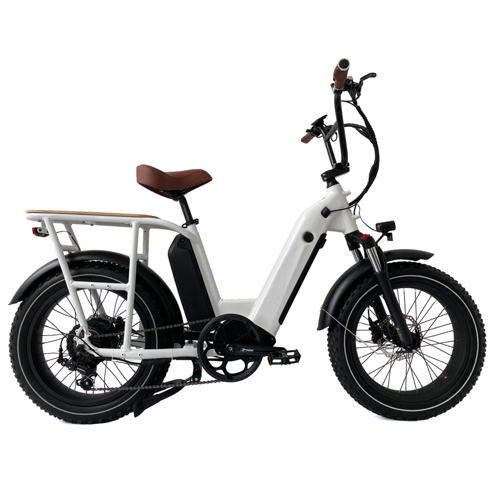 2022 latest model electric post bike food delivery bike 48V 750W dual battery ebike electric fat tire cargo bike