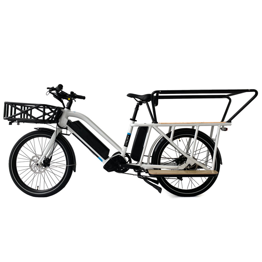 Trending long tail cargo e bike cargo electric bike e-cargo bike for delivery cargo electric bicycle