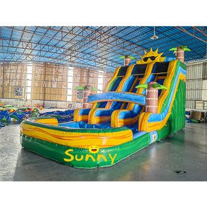 Water Slide Backyard Inflatable Water Slide with Swimming Pool Commercial Grade Cheap Inflatable Pvc for Adult 1 Piece Sunny