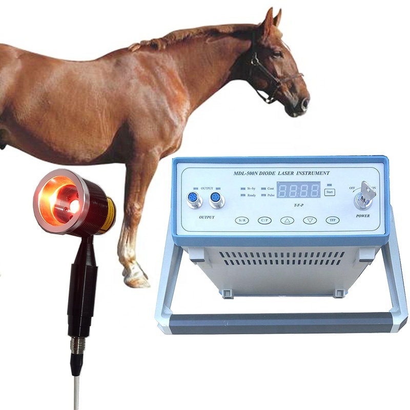 MDL500N Portable low level laser therapy cold laser for horses for health care cold laser therapy