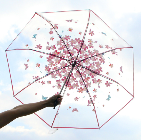 Transparent umbrella