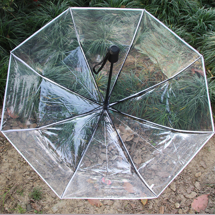 Transparent umbrella