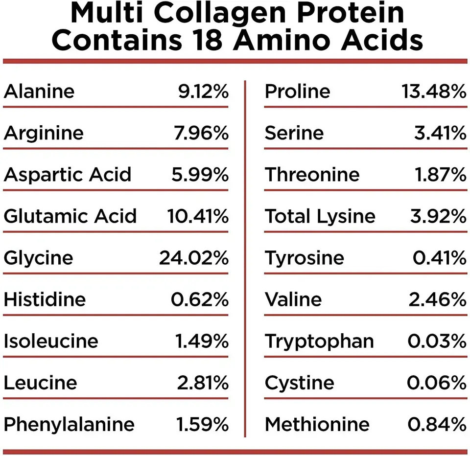 Wholesale Price 100% Marine Collagen Protein Powder Fish Collagen Peptides Supports Collagen Powder for Skin care