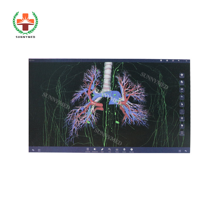 SY-YU04 Digital Human Anatomy System Anatomy 3D body Virtual Autopsy Table