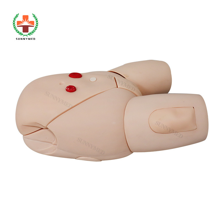 Advanced Female Urethral Catheterization Model for Nurse Training