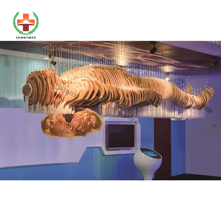 SY-YU 3D Digital Human Body Anatomy System Anatomage Table Virtual Virtual Anatomy Dissection Table