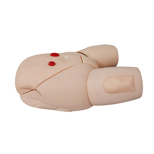 SY-N045 medical Educational class Catheterization Model Nursing Training Female Catheterization Model