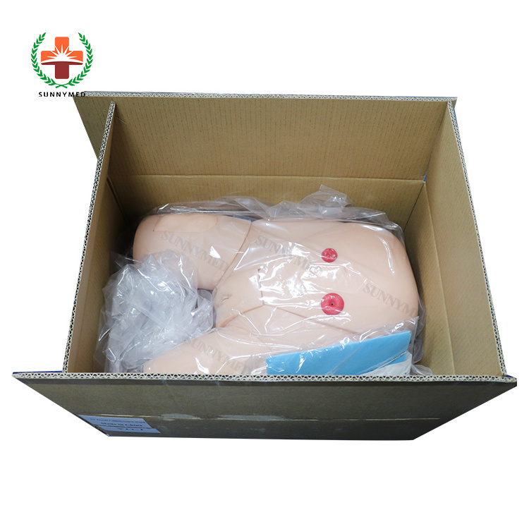 SY-N045 medical Educational class Catheterization Model Nursing Training Female Catheterization Model