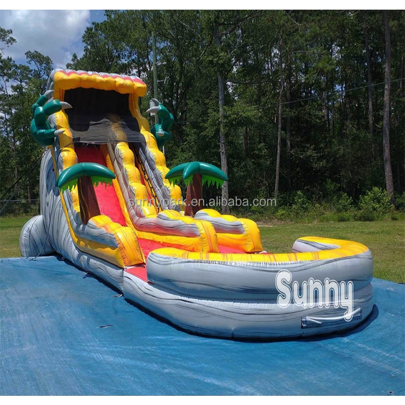 commercial Inflatable Water Slide  With Pool For Adults Kids Double way slide inflatable water slide