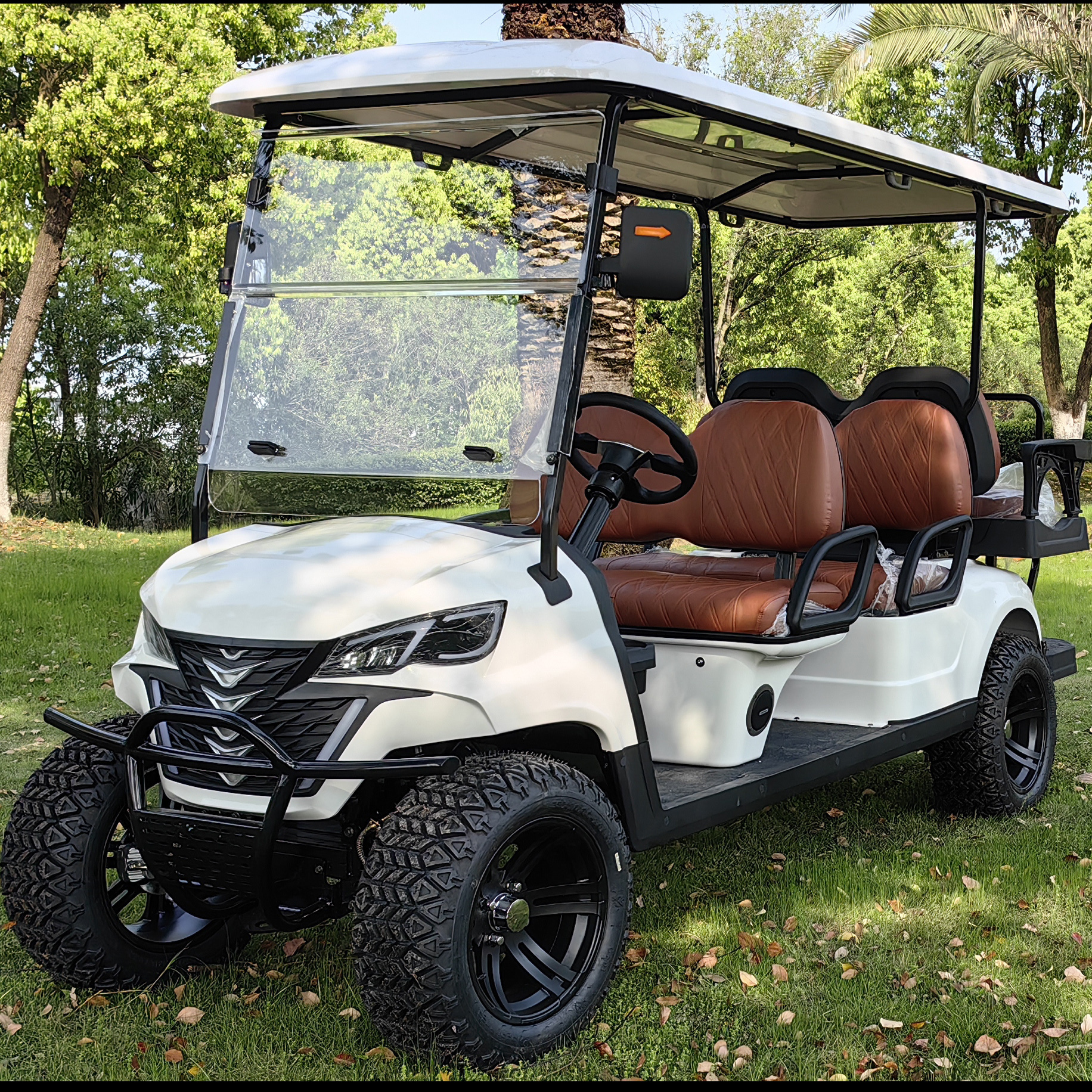 Electric China  Zone golf cart /newest model 6 seater high quality lifted off-road golf buggy