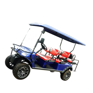 Hot sell 48 volt lithium battery pack modern 4 seater golf cart