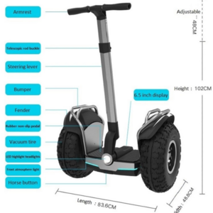 Sunnytimes Best Selling Self-balancing Seaside Electric Scooters Adult Electric Scooters Two Big Fat Wheel