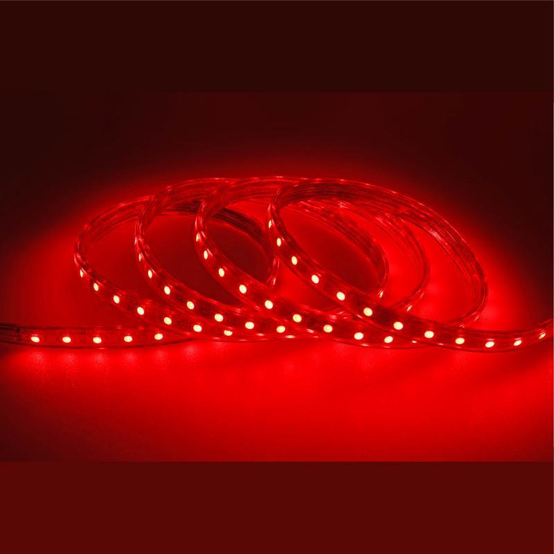 Custom 12V 1m 5m 10m 15m 20m SMD5050 RGB Waterproof IP65 Smart Led Strip Light Led TUYA/ RGB Luces Light Led