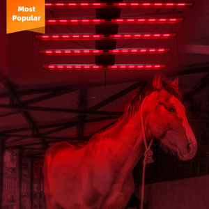 New Arrival Infrared Therapy With Horse Pets Horse Red Light Therapy Boot Therapy Horse Animal Supplier In China