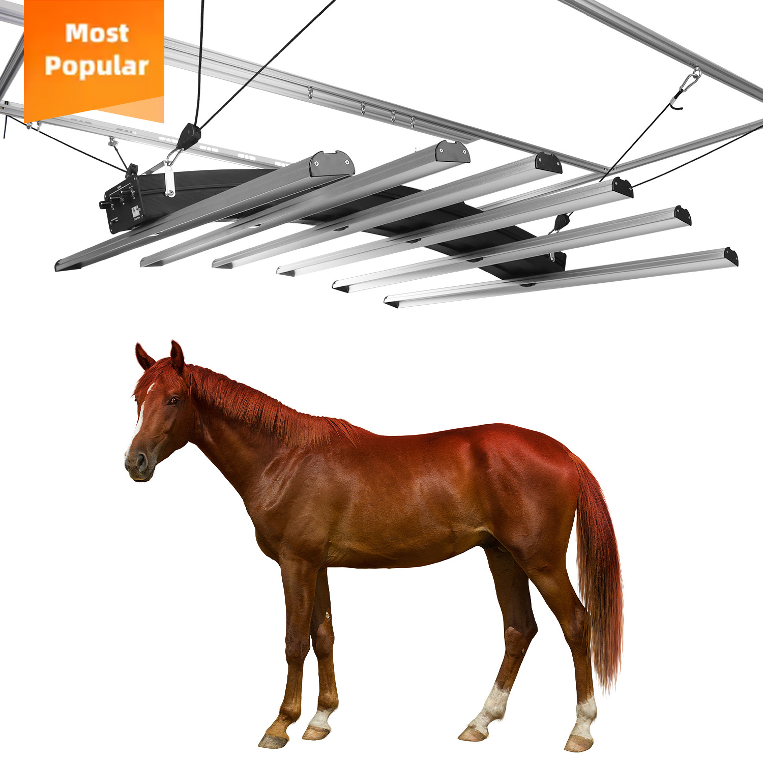 New Arrival Infrared Therapy With Horse Pets Horse Red Light Therapy Boot Therapy Horse Animal Supplier In China