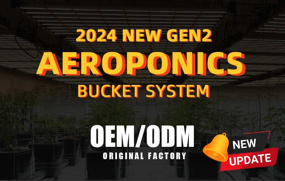 2024 New Mist Culture RDWC DWC Dutch Bucket Hydroponics Grow Aeroponics System Kit Indoor Hydroponic Bucket System