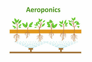 2024 New Mist Culture RDWC DWC Dutch Bucket Hydroponics Grow Aeroponics System Kit Indoor Hydroponic Bucket System