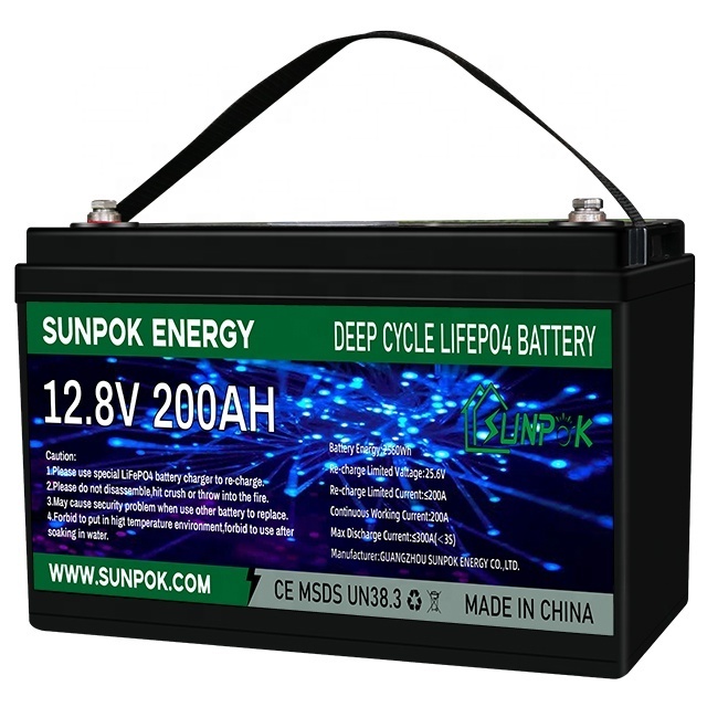 Solar Energy Storage Battery Deep Cycle BMS Lithium Ion Battery Thruster Power Battery 24 Volt 100ah 200ah 24v Lifepo4 18650 NCM