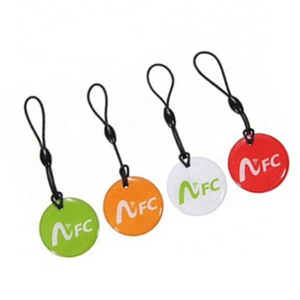 13.56MHz NFC pet id tag qr code rfid pet electronic dog collar tag nfc epoxy keychain