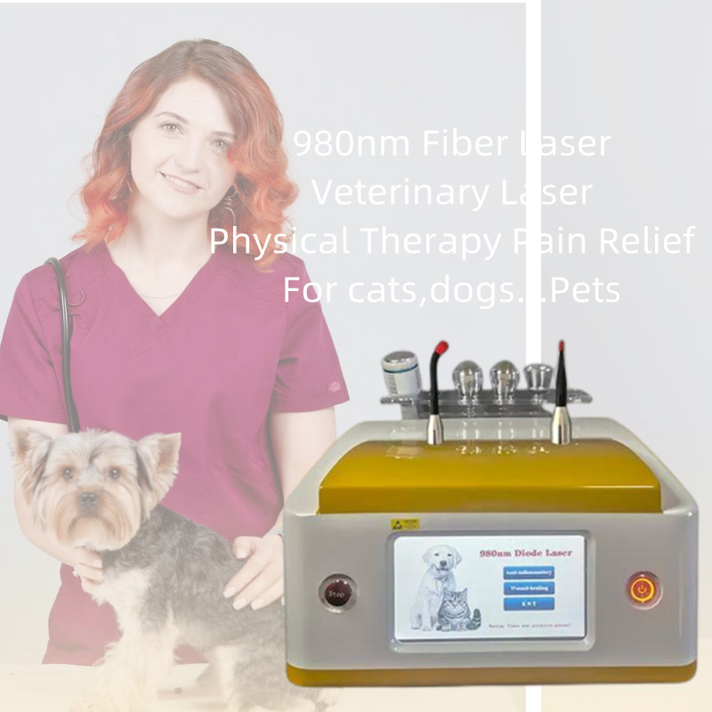 Veterinary use cold laser therapy device for pet pain dog wound healing 980nm veterinary laser device