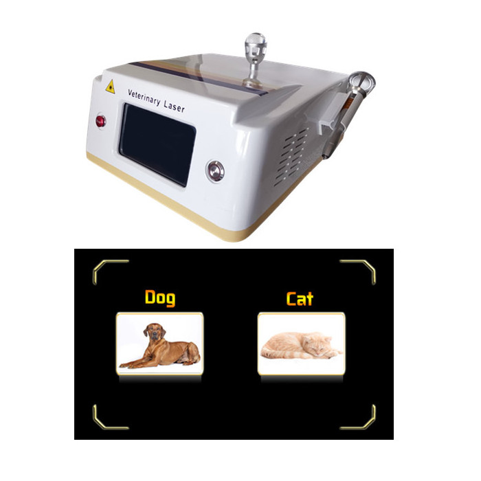 Veterinary use cold laser therapy device for pet pain dog wound healing 980nm veterinary laser device