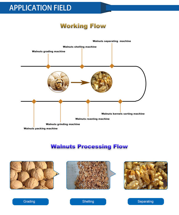 Sheller Processing Plant Commercial Automatic Pecan Nuts Shelling Cracker Walnut Crusher Machine