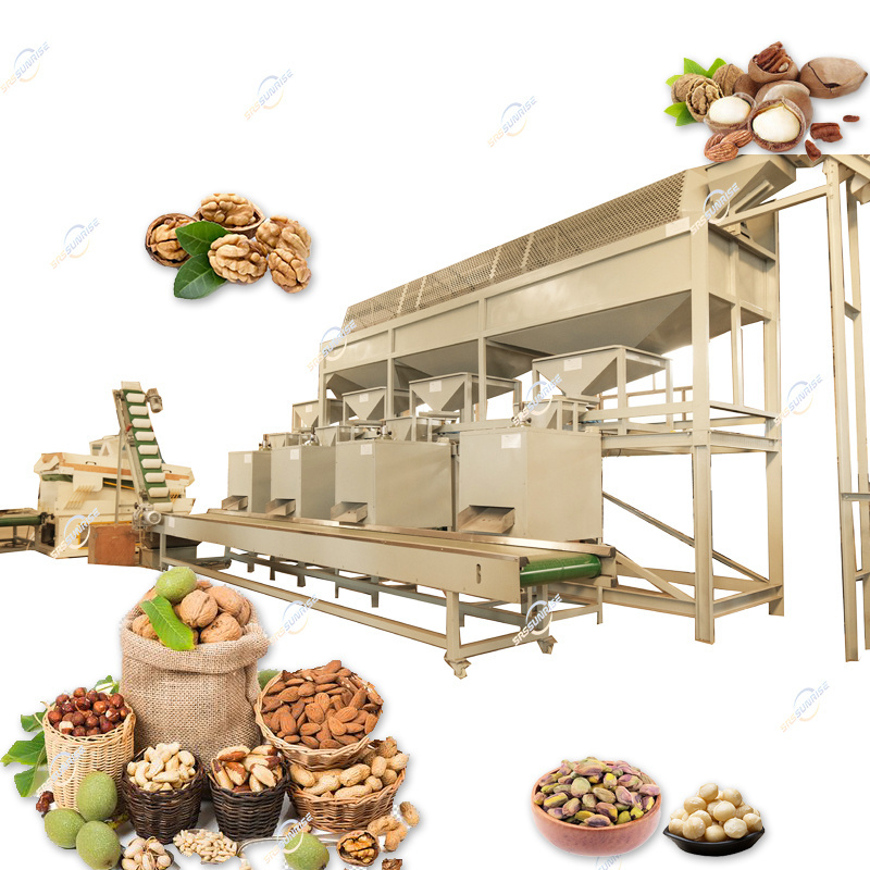 Automatic Almond Hazelnut Pistachio Macadamia Nut Walnut Sunflower Sesame Seed Peanut Processing Machine