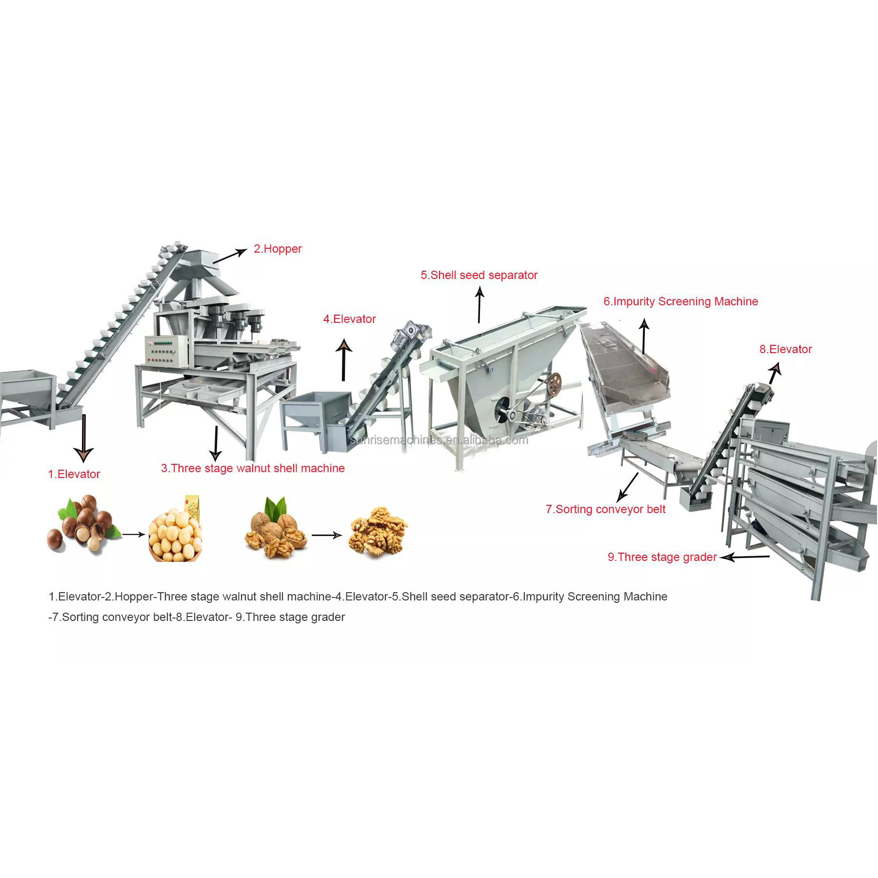 Sheller Processing Plant Commercial Automatic Pecan Nuts Shelling Cracker Walnut Crusher Machine