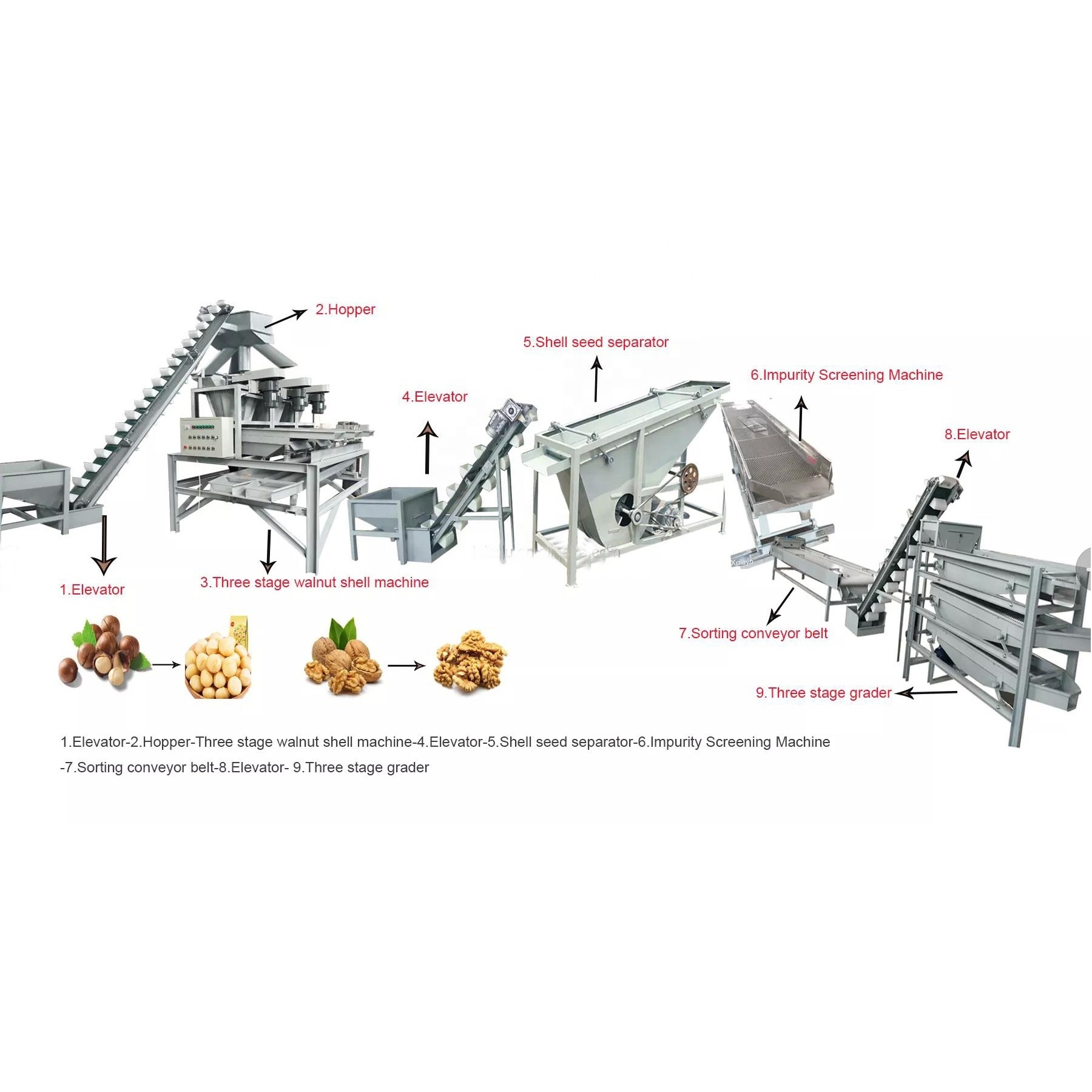 Sheller Professional Automatic Pecan Nuts Hulling Grading Shelling Machine Walnut Processing Equipment