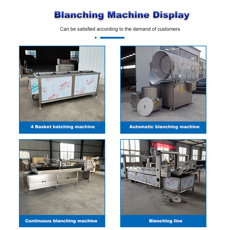 Blancher Equipment Vegetable Fruit Mango Seafood Washing Cutting Blanching Machines