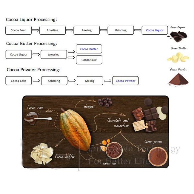 Cacao Processing Equipment Cocoa Bean Roaster Cracker winnower Peeler Sheller Nibs Powder Grinder Machine