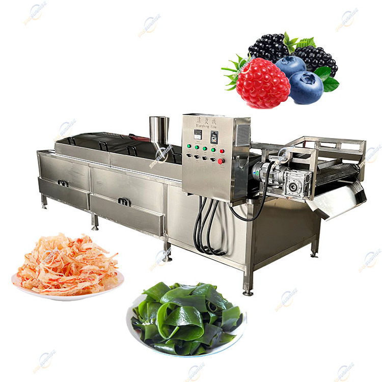 Commercial Steam Gas Electric Continuous Fruit Vegetable Meat Cooking Blancher Blanching Machine