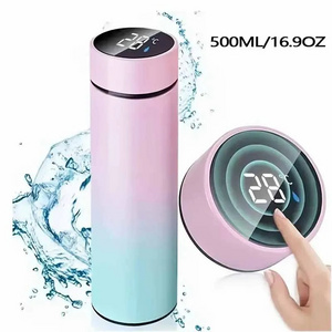 500ml Smart Thermos Bottle LED Temperature Display Thermos Cup Stainless Steel Vacuum Flask Portable Water Bottles Adult Gift