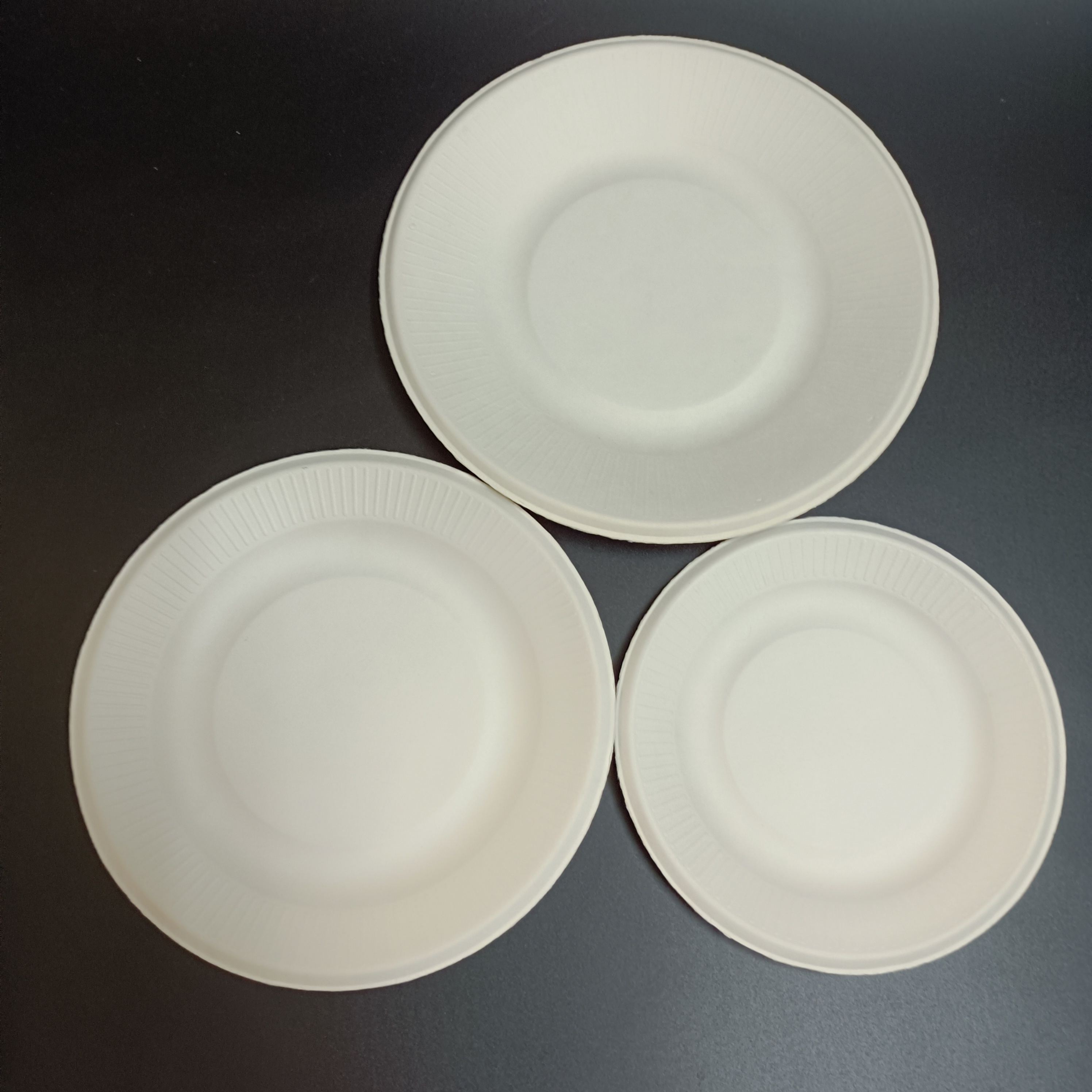 SP1636 100% Sugarcane Fiber Compostable Disposable Round plate for Pizza Eco Paper Plates  6