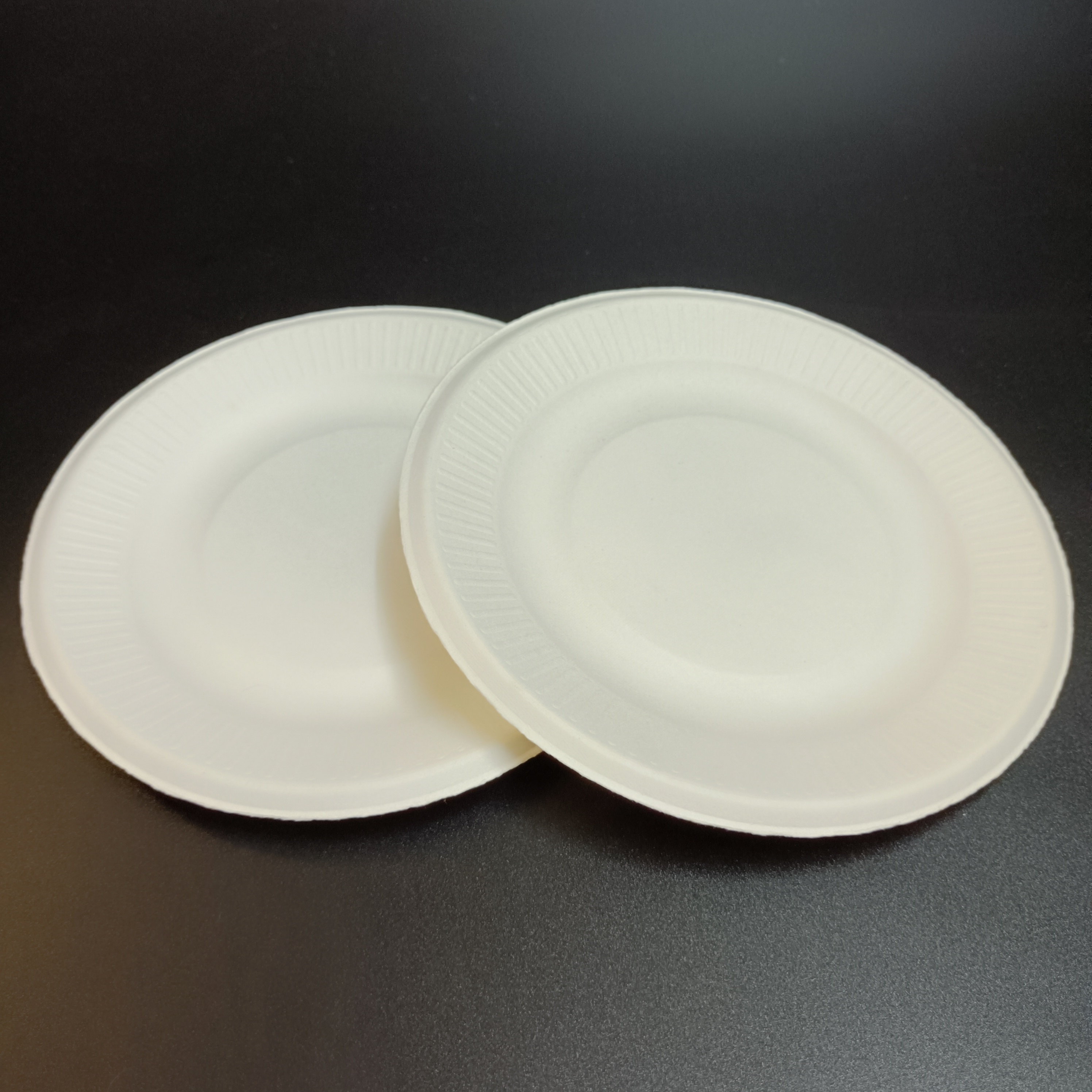 SP1636 100% Sugarcane Fiber Compostable Disposable Round plate for Pizza Eco Paper Plates  6