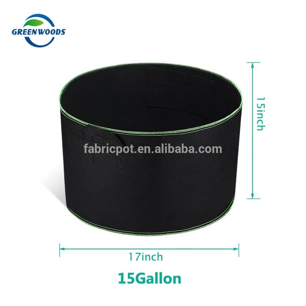 30 Gallon High Quality Growing Fabric Pot Indoor Outdoor Hydroponic Grow Bag Garden Pot for Planting Vegetable Flower