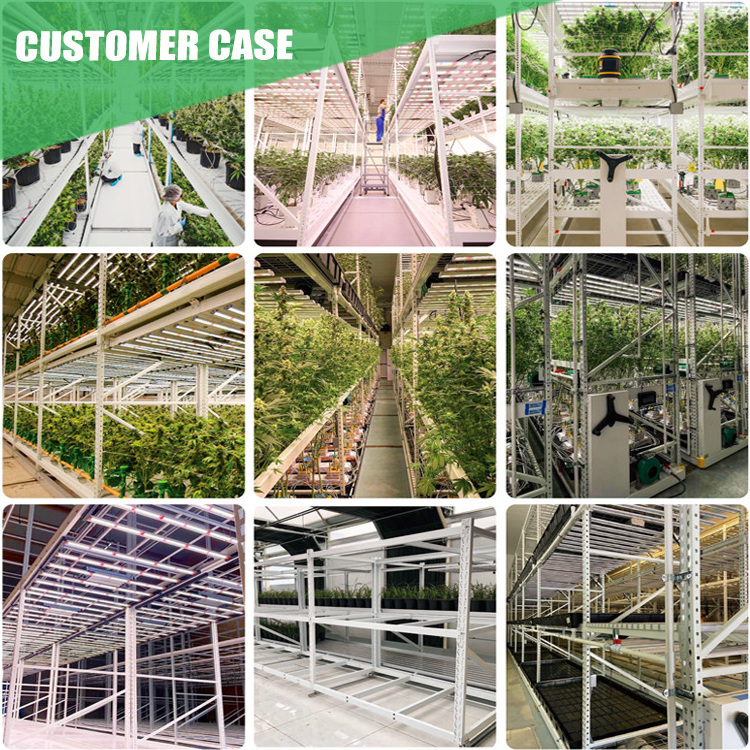 2 Tier Rolling Bench Greenhouse  Multilayer Rolling Benches Shelves Vertical Grow Table Grow Racks