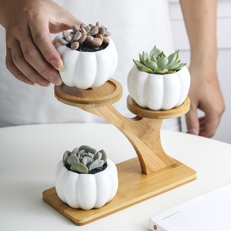 creative succulent ceramic small pumpkin with treetop bamboo frame zakka combination potted flower pot