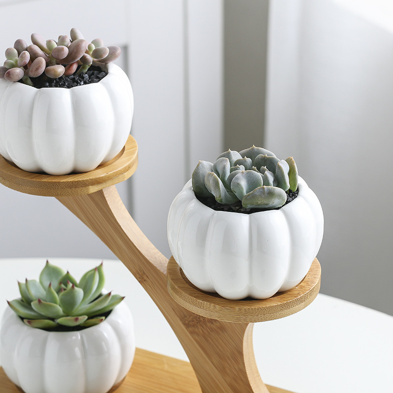 creative succulent ceramic small pumpkin with treetop bamboo frame zakka combination potted flower pot