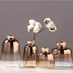 Scandinavian gold-plated glass mini hydroponic flower vase