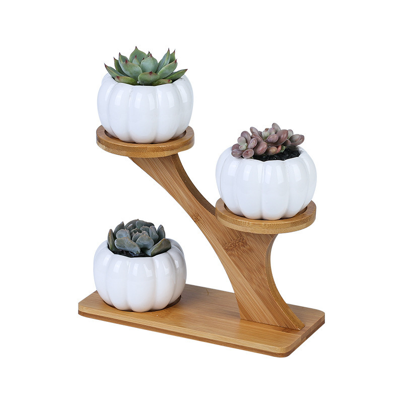 creative succulent ceramic small pumpkin with treetop bamboo frame zakka combination potted flower pot