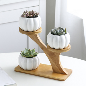 creative succulent ceramic small pumpkin with treetop bamboo frame zakka combination potted flower pot