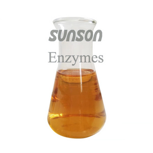 Food Grade Sunson liquid betaglucanase enzyme beta glucanase enzyme Glucan for beer brewing