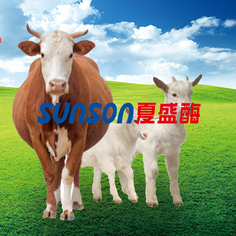 50000u/g Feed Additive Endoglucanase Enzyme Beta Glucanase Improving Feed Conversion Ratio & Digestibility Cereal-based Feed