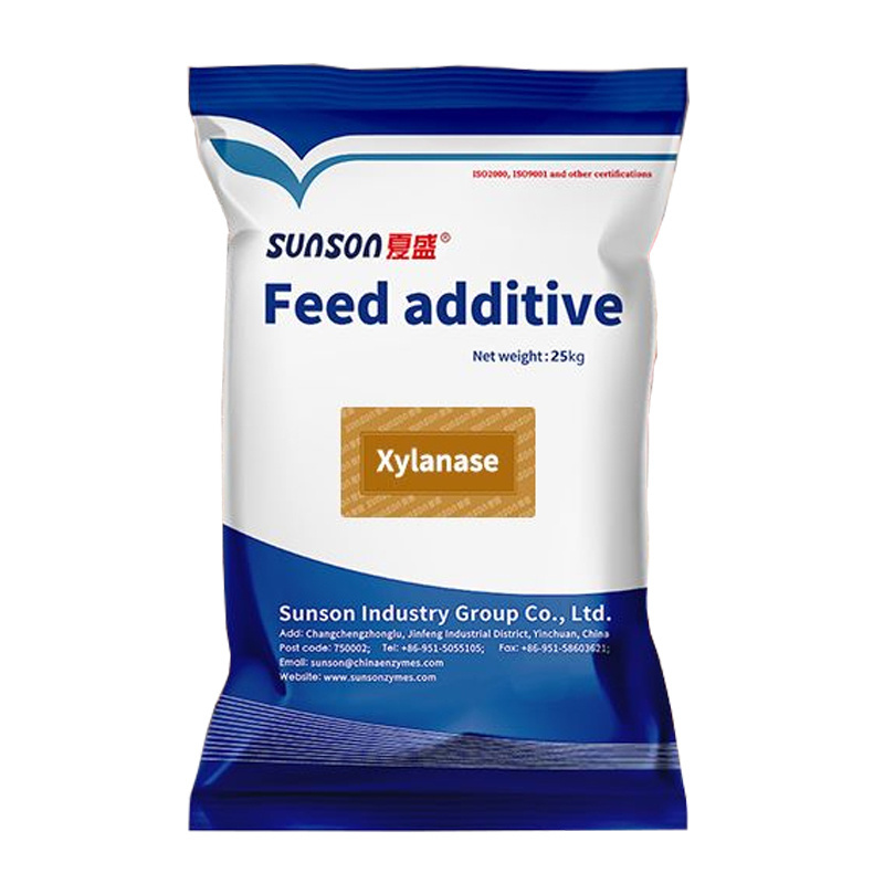 Xylanase of feed grade improving nutrient absorption and animal gut health