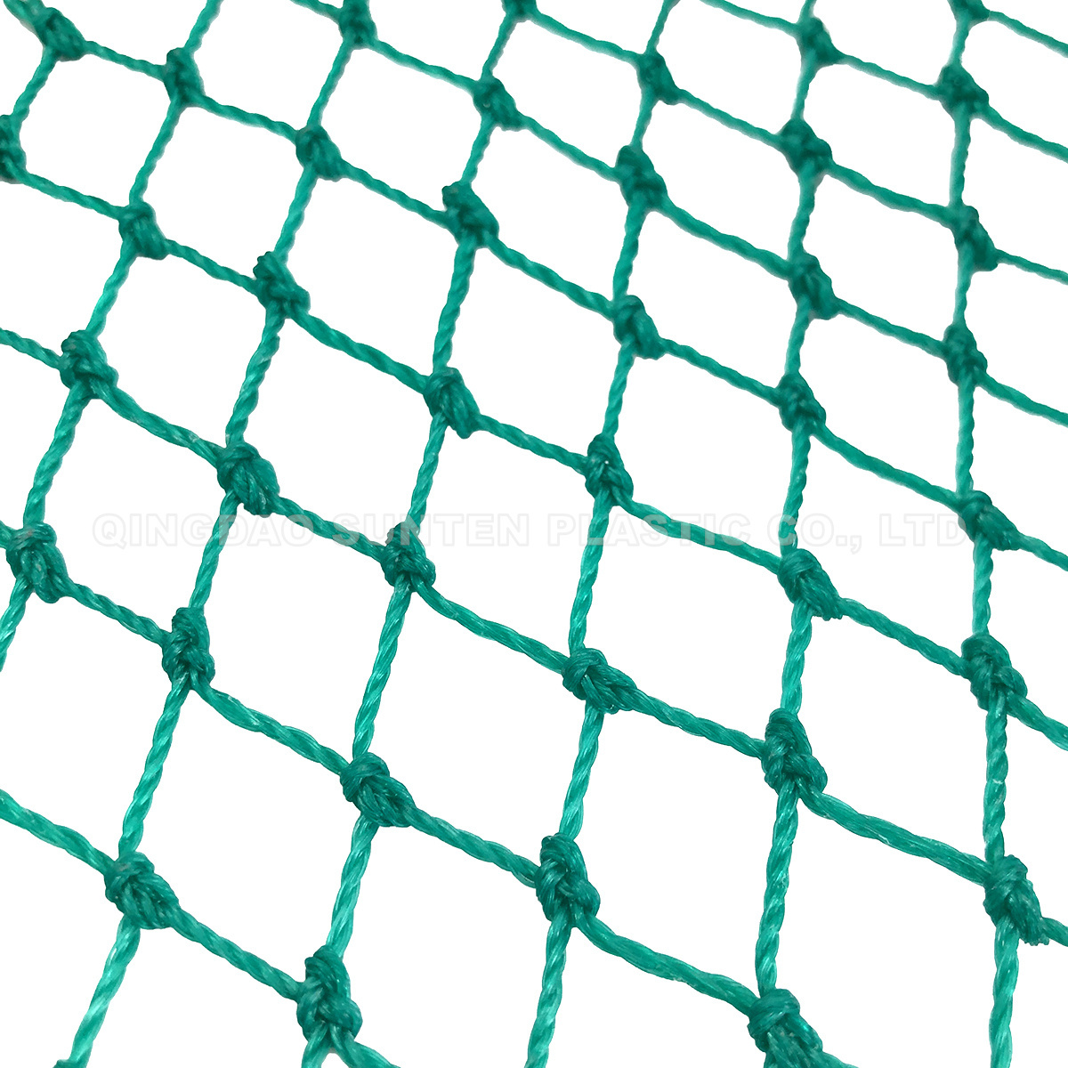 Knotted PE/Nylon/Plastic Agriculture/Garden/Vineyard Crop Protection/Control Chicken/Deer/Pigeon/Anti Bird Netting