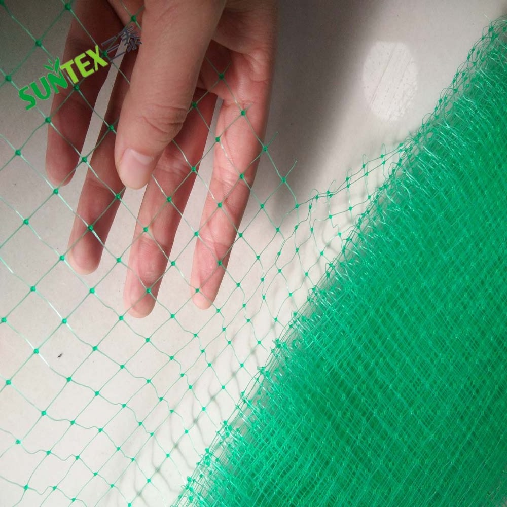 Green PP Extruded Anti Bird Netting Plastic Extruded Catching Bird Net Orchards Protection Bird Proof Net