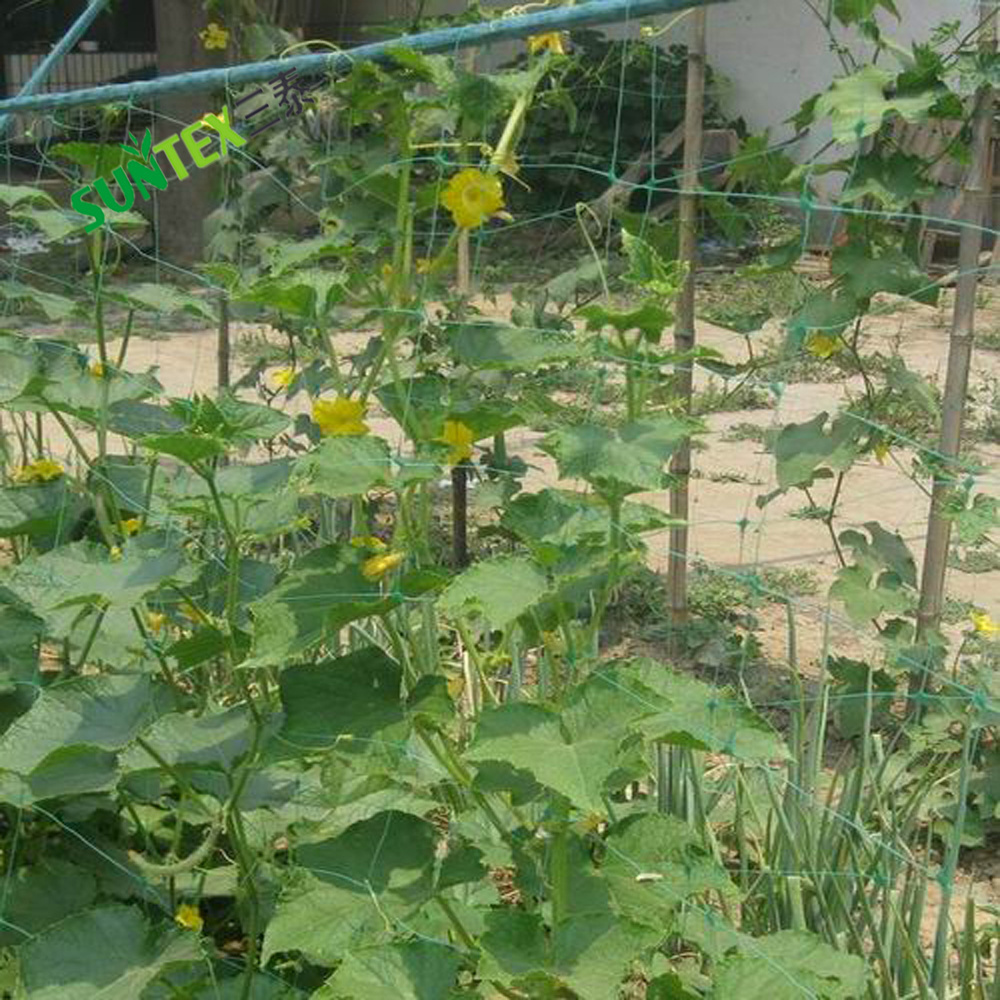 Cucumber Plants Support Net 15*15cm Mesh Size Garden Plants Trellis Netting